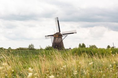 Yel değirmeninin alçak açılı görüntüsü, ön planda çayır. Hollanda 'da yaz boyunca Kinderdijk' te bulutlu bir gün.