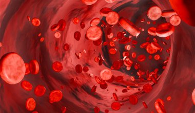 İnsan kan hücreli damar ya da arter. Hemoglobin, yuvarlak, kan dolaşımı, kan plazması, arterler. 3B illüstrasyon