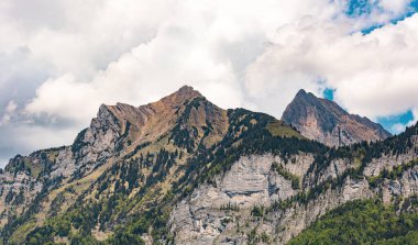 Ağaçlı dağ zirvesi, İsviçre, Canton St. Gallen, İsviçre Alpleri, Fruemsel ve Hinterrugg dağları. Güneşli bir gün, bulutlar, sıradağlar. Yürüyüş, turizm, seyahat yeri, dinlenme yeri.