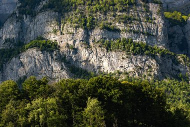 Ağaçlı dağ zirvesi, İsviçre, Canton St. Gallen, İsviçre Alpleri, Fruemsel ve Hinterrugg dağları. Güneşli bir gün, bulutlar, sıradağlar. Yürüyüş, turizm, seyahat yeri, dinlenme yeri.
