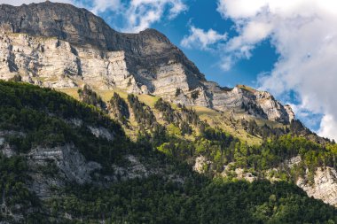 Ağaçlı dağ zirvesi, İsviçre, Canton St. Gallen, İsviçre Alpleri, Hinterrugg dağı. Güneşli bir gün, bulutlar, sıradağlar. Yürüyüş, turizm, seyahat yeri, dinlenme yeri.