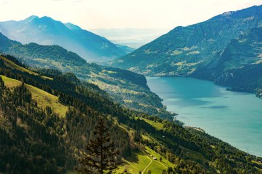 Chatzenberg, İsviçre, İsviçre Alpleri, St. Gallen Kantonu, 2025 yazı. Ağaçlar, ön plandaki çayırlar... Bulutlarla, dağlarla, güzel manzaralarla güneşli bir gün. Yürüyüş, seyahat, turizm, varış yeri, eğlence.