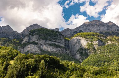 Ağaçlı dağ zirvesi, İsviçre, Canton St. Gallen, İsviçre Alpleri, Fruemsel ve Hinterrugg dağları. Güneşli bir gün, bulutlar, sıradağlar. Yürüyüş, turizm, seyahat yeri, dinlenme yeri.