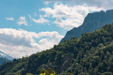 Ağaçlı dağlar, İsviçre Alplerinde bulutlu güneşli bir gün. Dağ sırası, yürüyüş, turizm, seyahat yeri, tatil, dinlenme.