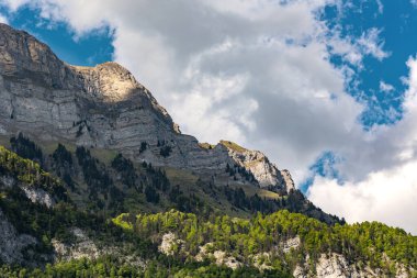 Ağaçlı dağ zirvesi, İsviçre, Canton St. Gallen, İsviçre Alpleri, Hinterrugg dağı. Güneşli bir gün, bulutlar, sıradağlar. Yürüyüş, turizm, seyahat yeri, dinlenme yeri.