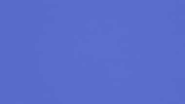 Turnayı gözünden vurduk. Kumarhane, kumar, kazanmak, oyun, piyango. 3 Boyutlu Canlandırma 