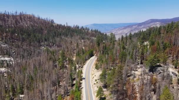 Aerial Drone Sideway Pan Orbit View Burnt Trees Forest Fire — Stock Video