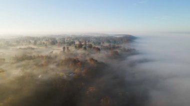 4K Hava / İnsansız Hava Aracı Foggy River Vadisi üzerinde uçuyor. Ağaçlar görünür. Sabah oldu.