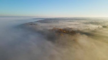 Foggy Landscape üzerinde 4K Aerial / Drone Yörüngesi / Arc. Sonbahar ağaçları görünür. Gün doğumu görünür. Su kulesi ve telsiz kulesi uzaktan görünüyor. Sabah Saati