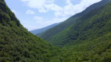 Güneşli bir günde Orman Dağı Vadisi 'nde 4K Hava Aracı yükseliyor. Bulutlar ve gölgeler görünür