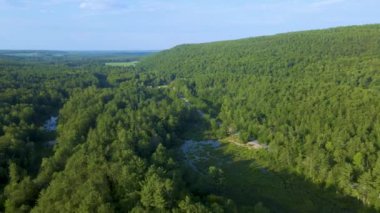 4K Hava Arc Yörüngesi Dağ Ormanı üzerinde Yol ve Göl ile. Ormanlar görünür