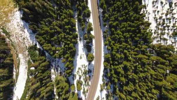 Aerial Drone Top View Road Snowy Pine Forest Snow Visible — Stock Video