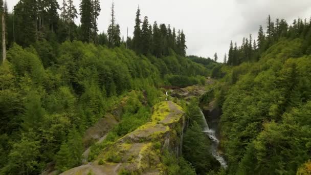 Aerial Drone Flyover Rocky Path Stream Waterfall Trees Rusty Bridge — Stock Video