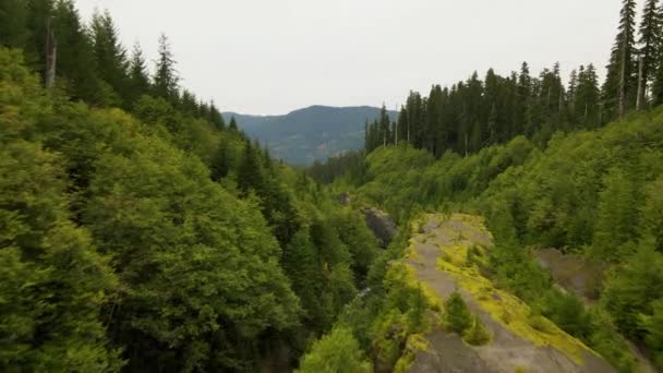 Drone Aéreo Flyover Caminho Rochoso Com Fluxo Árvores Montanhas Florestais — Vídeo de Stock