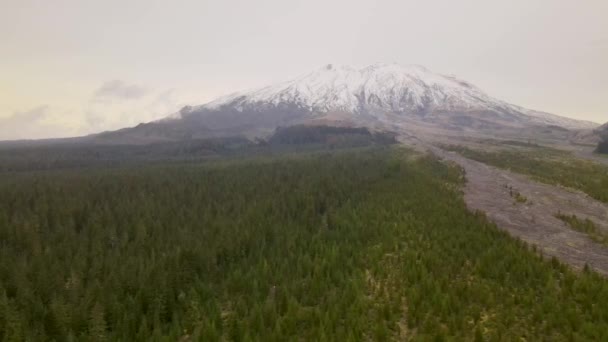 Drohne Seitlich Über Felsigem Lavaflussbett Mount Saint Helens Kiefernwald Vulkan — Stockvideo