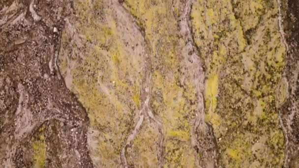Airial Drone Topセント ヘレンズ山の溶岩河床のダウンビュー 表示されるテクスチャと木 — ストック動画