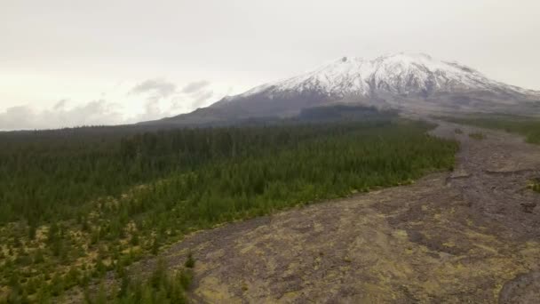4K空中ドローンセント ヘレンズ山の岩溶岩河床の景色 見える松林 見える火山 — ストック動画