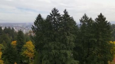 4K Hava Aracı Portland, Oregon 'daki Pine Trees üzerinde yükseliyor. Şehrin ufuk çizgisi ve ufku görünür.