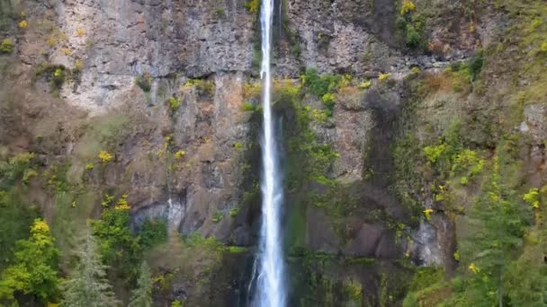 Drohnenflug Multnomah Falls Waterfall Oregon Usa Oberer Wasserfall Sichtbar — Stockvideo
