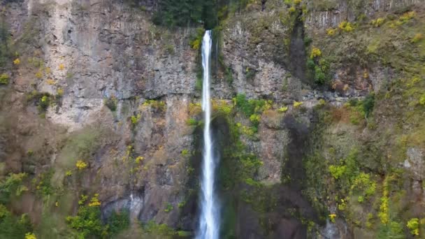 Беспилотник Спустился Водопад Малтби Фолс Штате Орегон Сша Верхний Водопад — стоковое видео