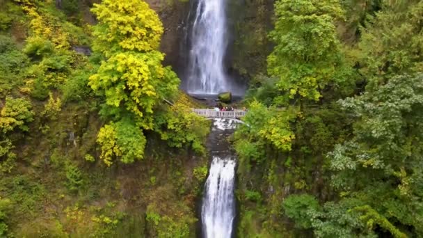 Подъем Беспилотника Водопаде Малтби Фолс Штате Орегон Сша Видны Два — стоковое видео