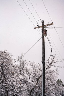 Yumuşak karla kaplı elektrik hatları.