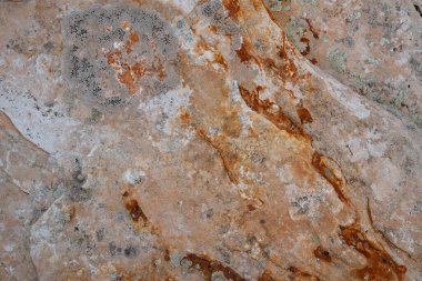 Kayalarda güzel bir doku..