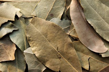 Eski kuru körfez yaprakları. Yakın plan. Baharatlar.