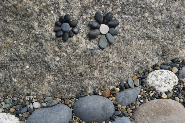 Цветы Созданные Камней Каменной Поверхности Каменный Сад — стоковое фото