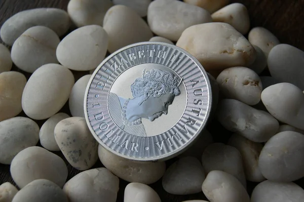 Australská Dolar Stříbrná Mince Čisté Stříbro Investiční Mince Austrálie A02 — Stock fotografie