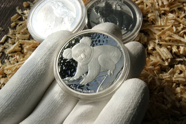 钱币在钱币学家手里澳洲1美元考拉 投资纯银币 — 图库照片