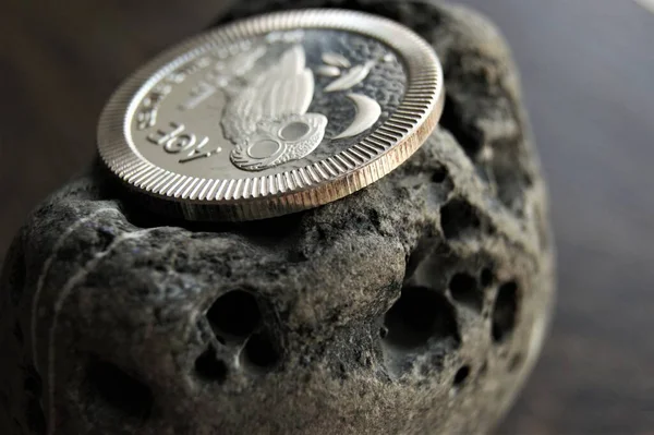 Ένα Καθαρό Ασημένιο Νόμισμα Μια Πέτρα Κουκουβάγια Νόμισμα — Φωτογραφία Αρχείου