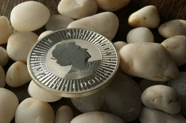 달러은 동전입니다 오스트레일리아 2023 — 스톡 사진