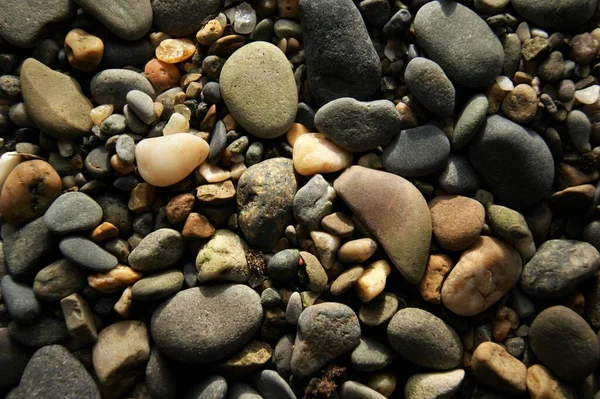 Textura Fondo Varias Piedras Playa Día Soleado —  Fotos de Stock