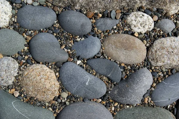 Background Smooth Flat Pebbles Gravel Pebbles Different Shapes Colors — Stock Photo, Image