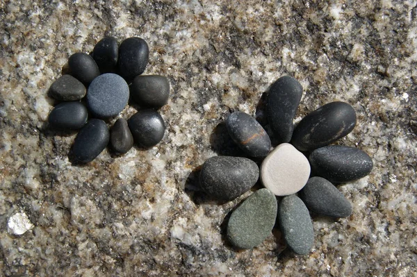 Eine Blume Die Aus Steinen Auf Einer Steinoberfläche Entsteht Gartendekor — Stockfoto