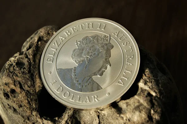 投資コイン オーストラリア1ドル純銀コイン — ストック写真