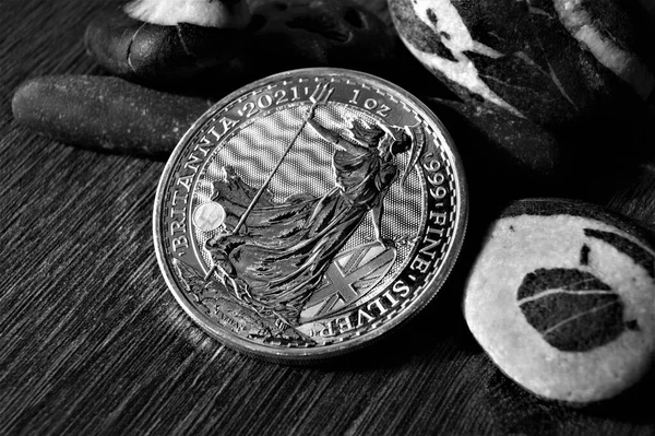 브리타니아 Fine Silver Coin 2021 — 스톡 사진