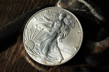 Siyah beyaz fotoğraf, saf gümüş para özgürlük. Amerika Birleşik Devletleri yatırımı gümüş para 1 dolar.