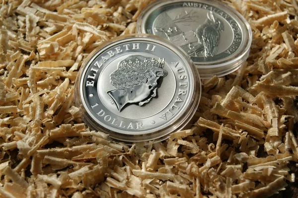 Bozuk Para Koleksiyonu Nümismatiği Avustralya Gümüş Yatırım Paraları Kapsüllerde — Stok fotoğraf