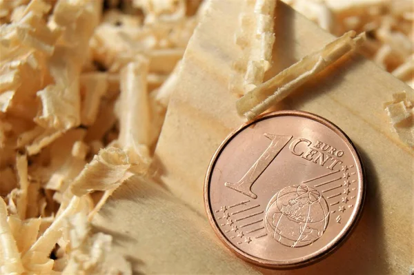 Avro Bölgesi 1 euro sent. Marangozun atölyesinde yeni bir madeni para..