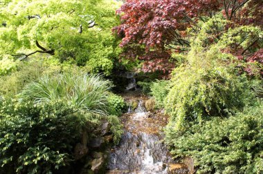 Parktaki küçük bir nehrin şelalesiyle manzara.