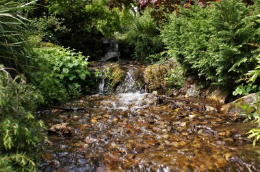 Ormandaki şelale manzarası. Küçük dere şelalesi