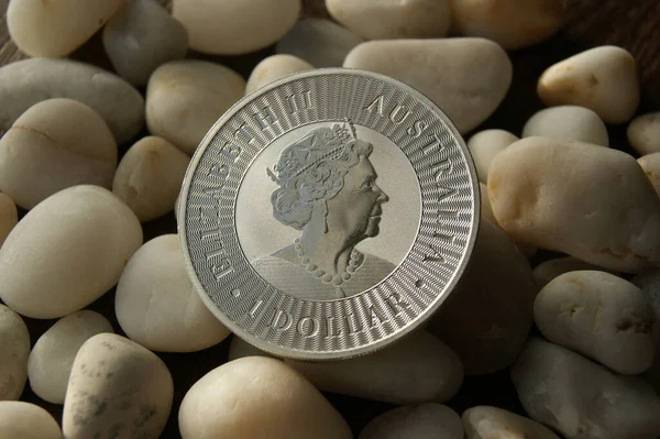 Investment Silver Coin Dollar Elizabeth Australian Kangaroo — Stock Photo, Image