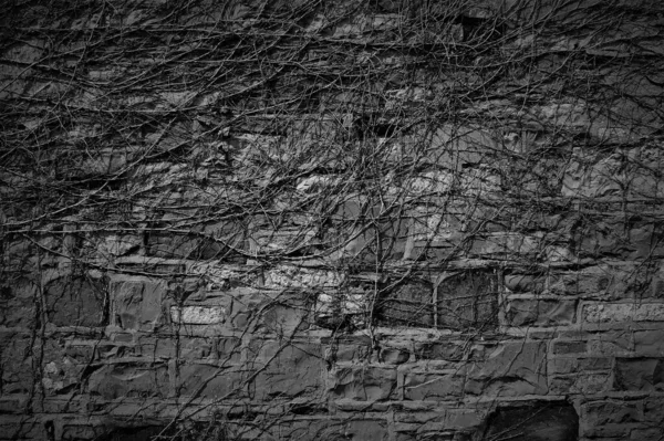 Czarno Białe Tło Ściana Zboczeńcami Ściana Dekoracyjna Kamieni Naturalnych — Zdjęcie stockowe