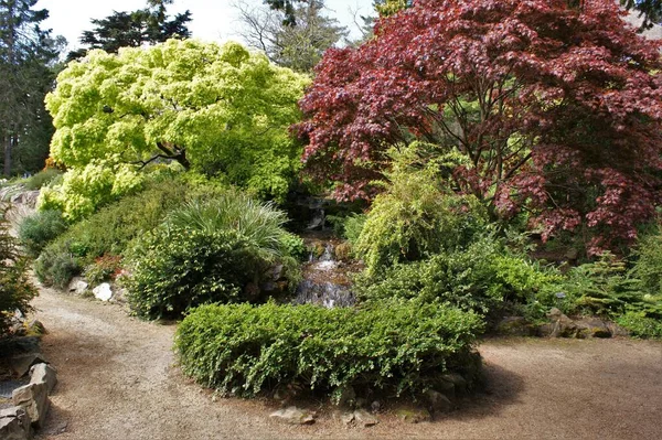 Paysage Jardin Botanique National Dublin Irlande 2023 — Photo