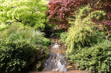 Parktaki küçük bir nehrin şelalesinin manzarası. İrlanda 'da bir halk parkı, Dublin.