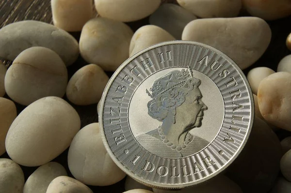 Δολάριο Ελισάβετ Αυστραλίας Καγκουρό Αργυρό Νόμισμα Επένδυσης — Φωτογραφία Αρχείου
