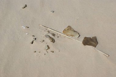 Kumsalda ve kayalarda kum dokusu. Baltık Denizi Sahili.