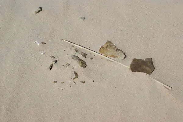 Kumsalda ve kayalarda kum dokusu. Baltık Denizi Sahili.